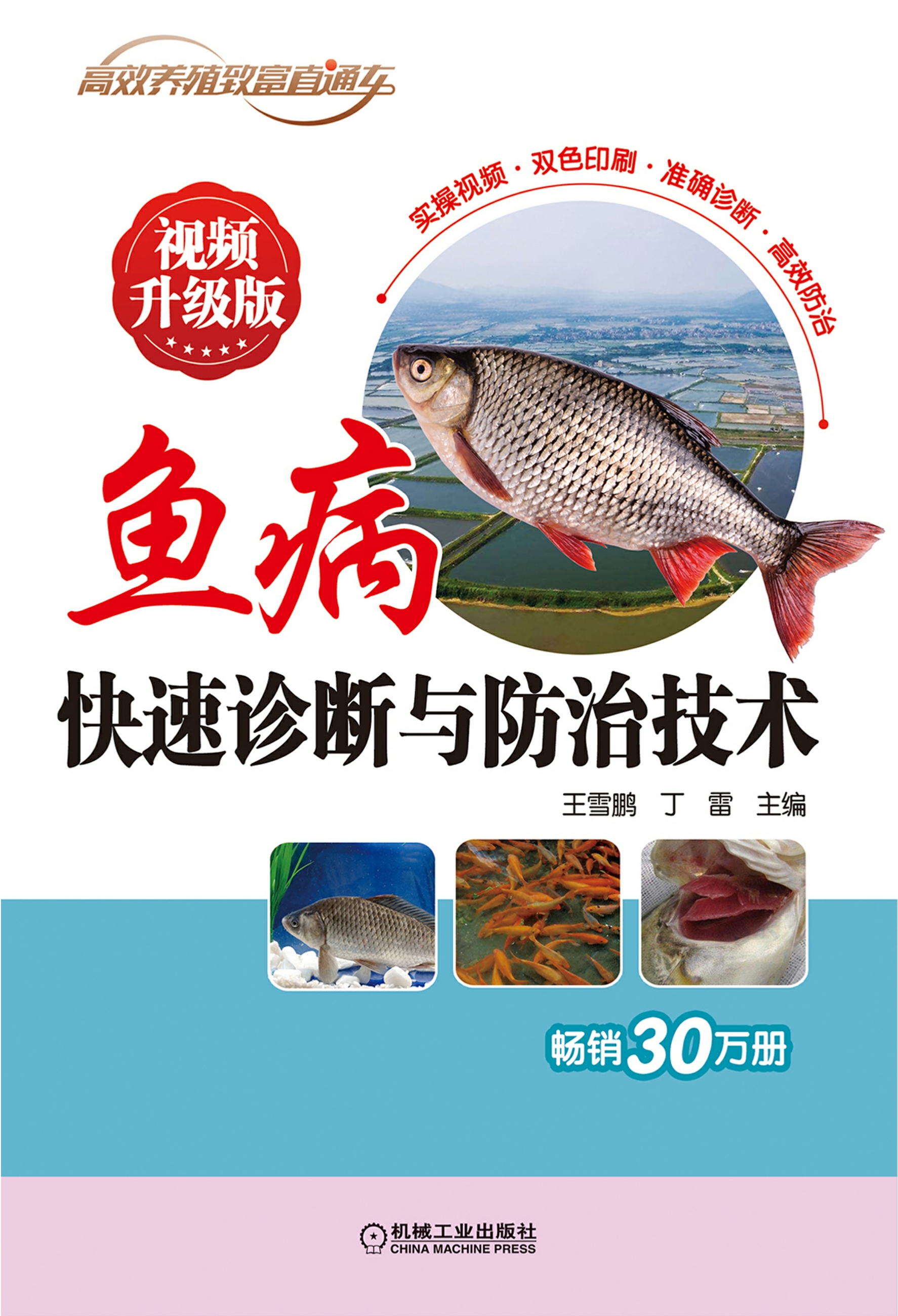 鱼病快速诊断与防治技术视频升级版
