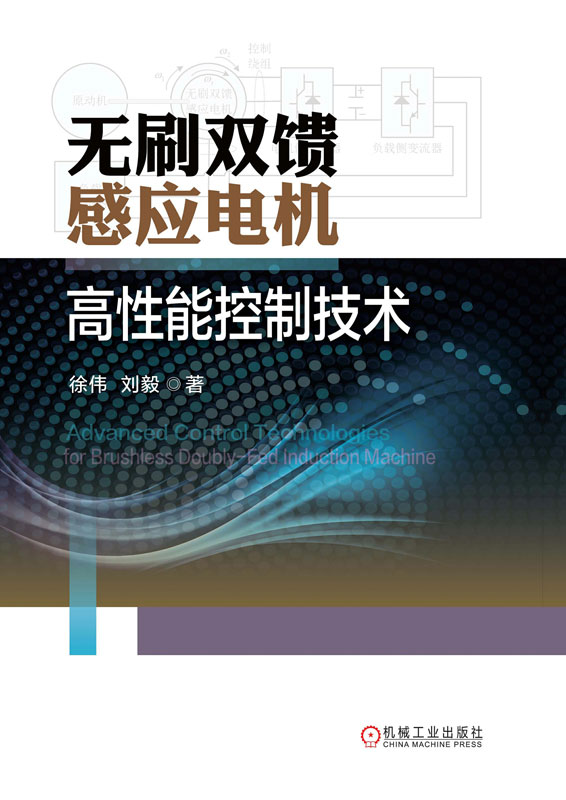 无刷双馈感应电机高性能控制技术