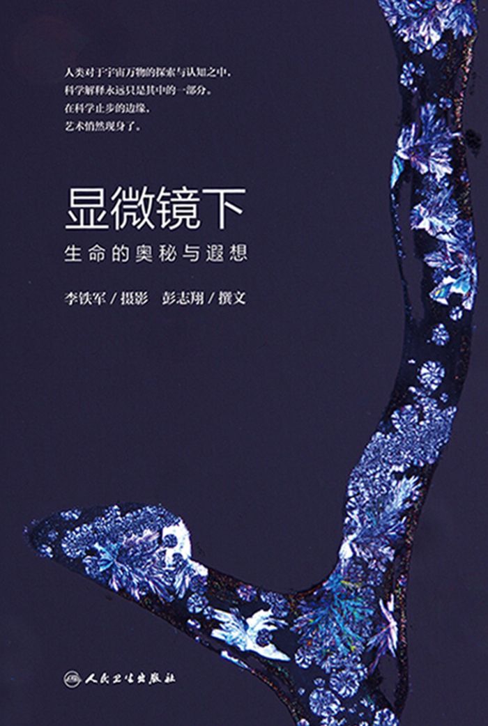 显微镜下生命的奥秘与遐想