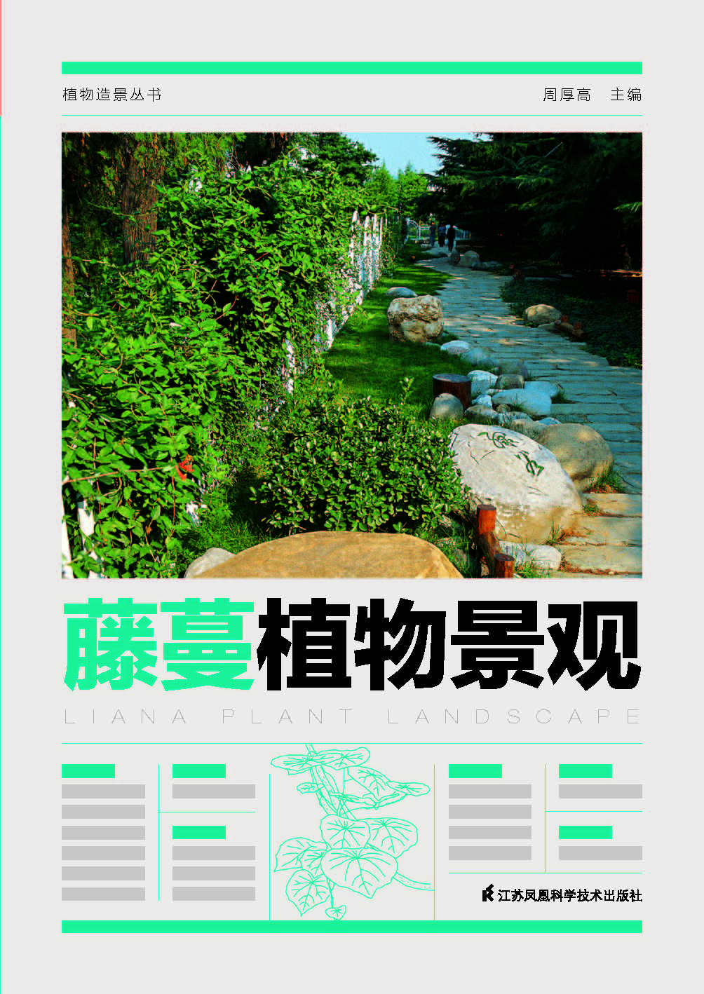 植物造景丛书——藤蔓植物景观