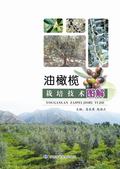 油橄榄栽培技术图解