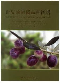 世界油橄榄品种图谱