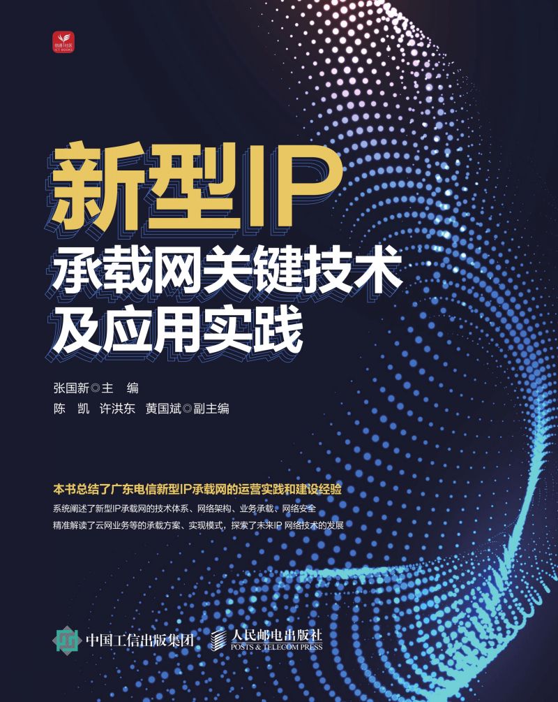 新型IP承载网关键技术及应用实践