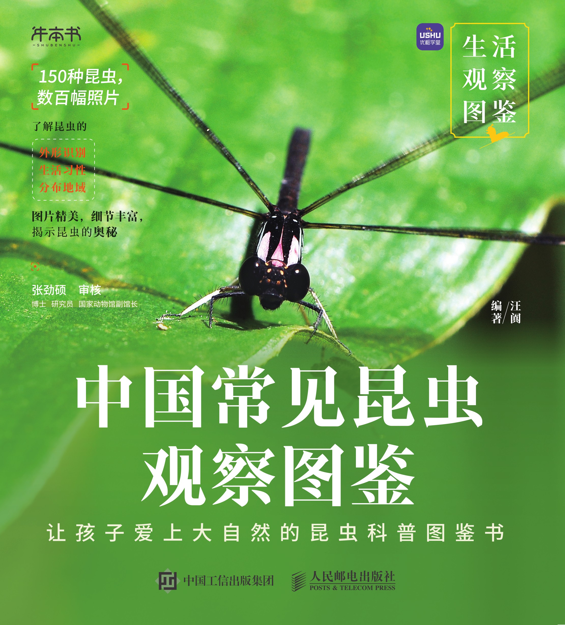 生活观察图鉴 中国常见昆虫观察图鉴