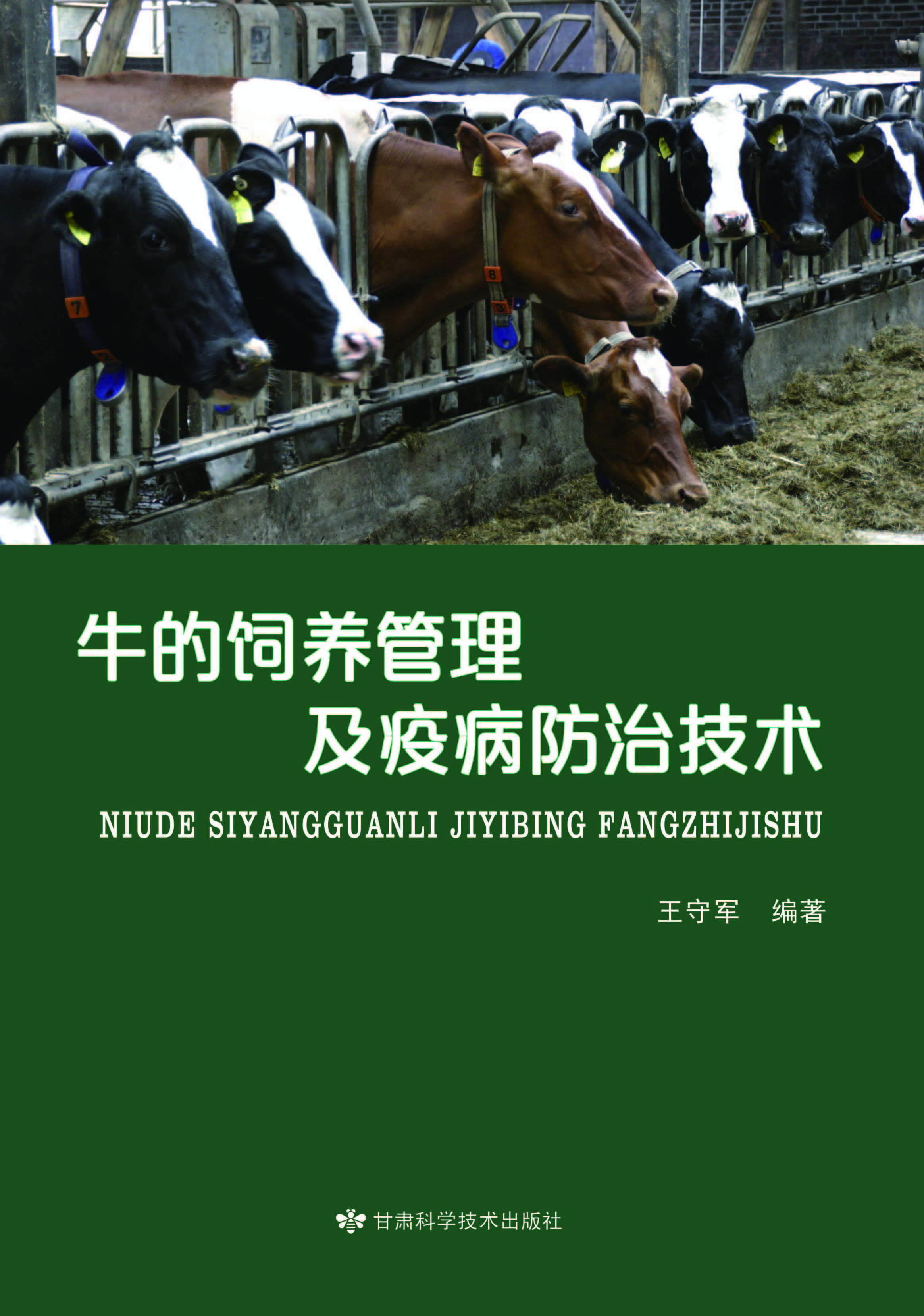牛的饲养管理及疫病防治技术