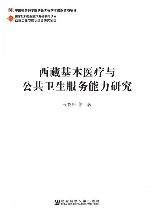西藏基本医疗与公共卫生服务能力研究