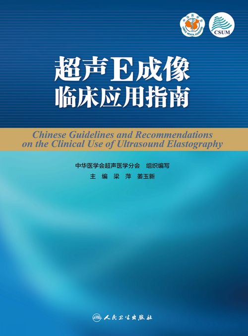 超声E成像临床应用指南