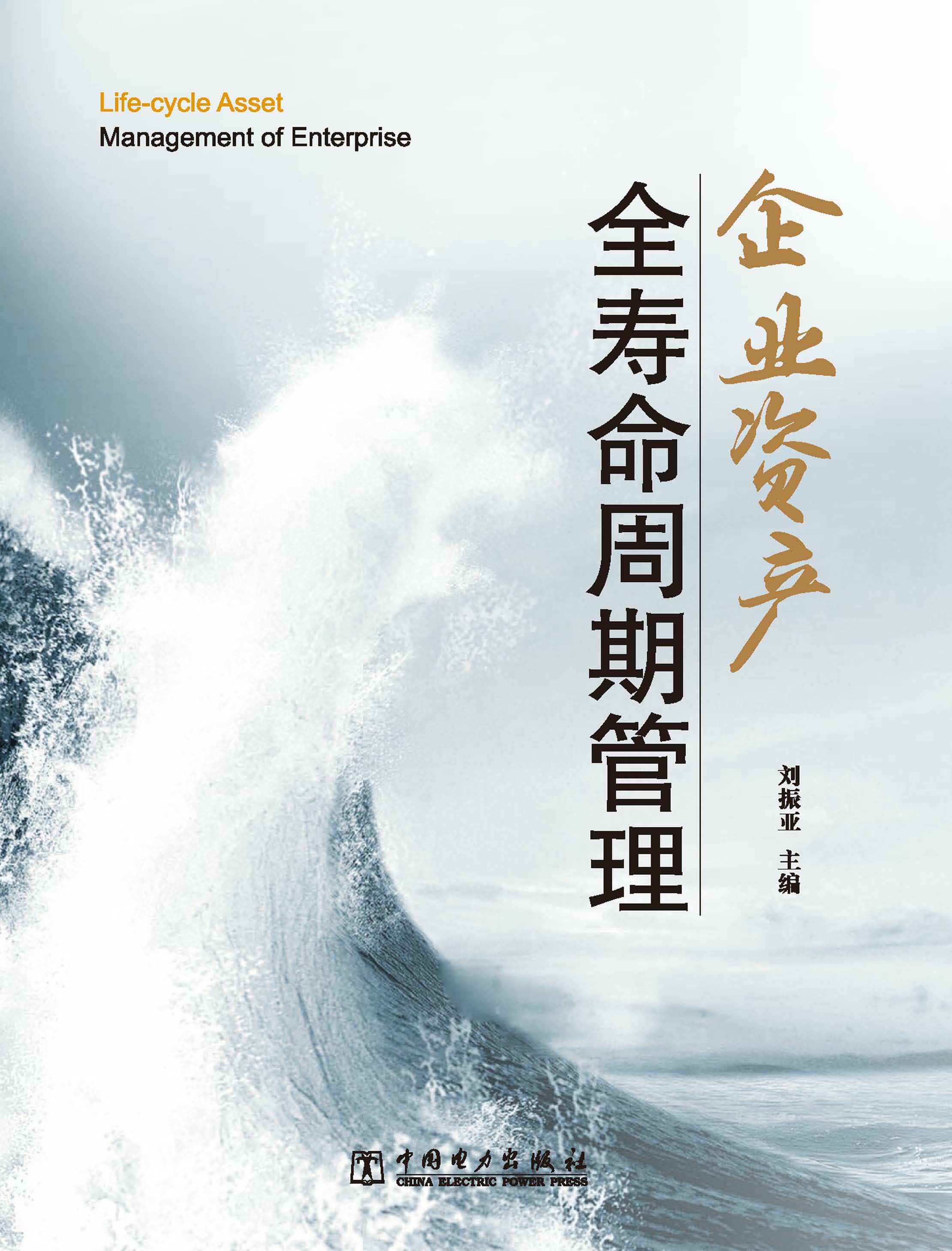 企业资产全寿命周期管理