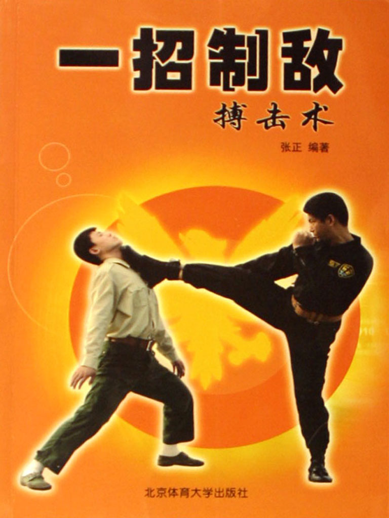 一招制敌搏击术