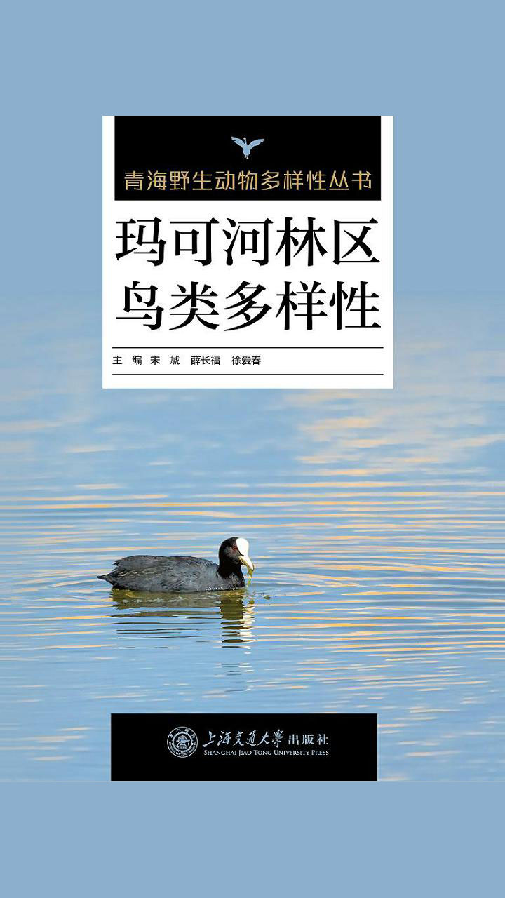 玛可河林区鸟类多样性