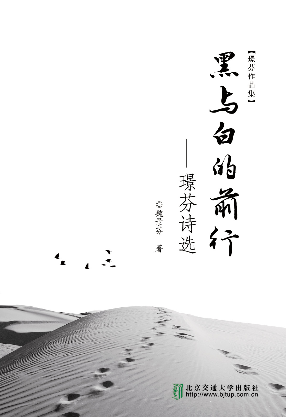 黑与白的前行——璟芬诗选