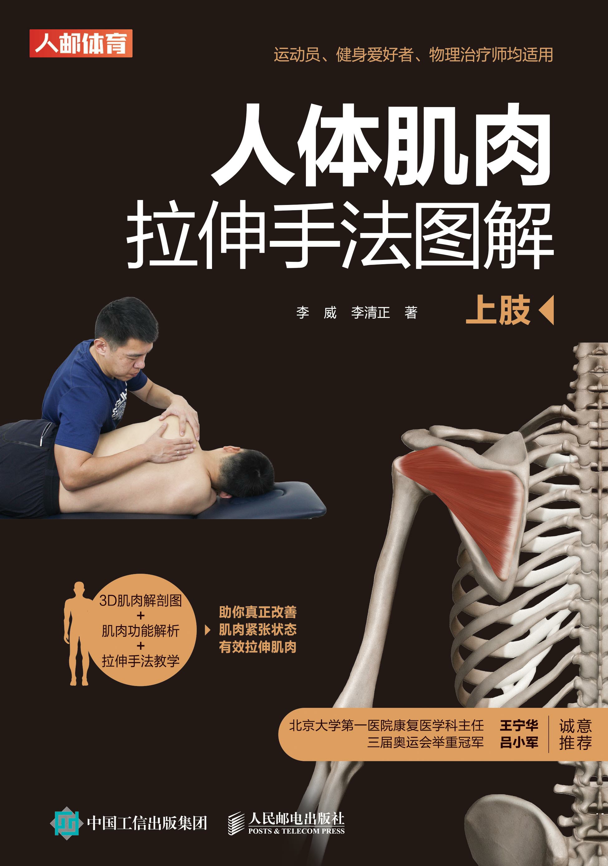 人体肌肉拉伸手法图解（上肢）