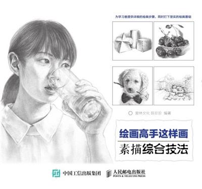 绘画高手这样画.素描综合技法