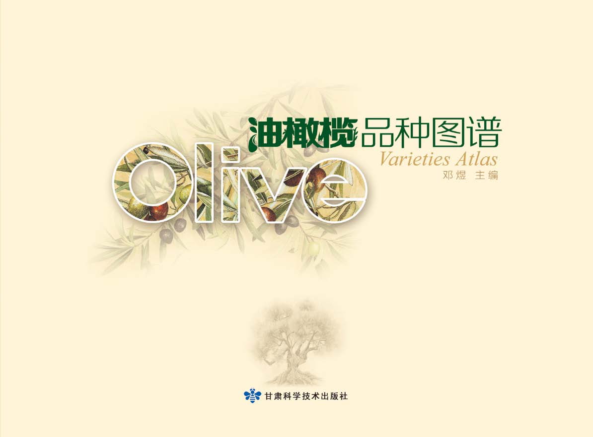 油橄榄品种图谱