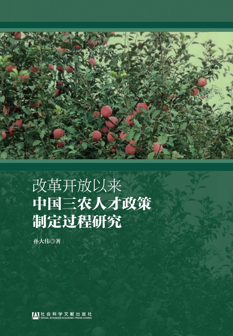 改革开放以来中国三农人才政策制定过程研究