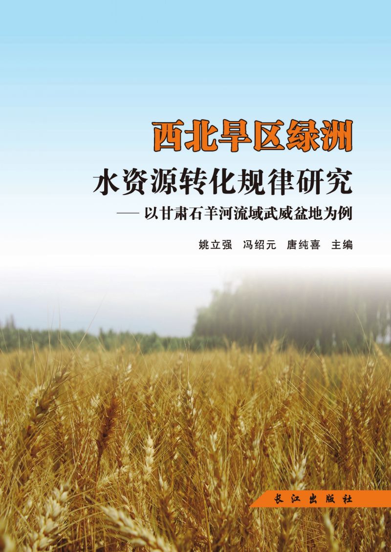 西北旱区绿洲水资源转化规律研究