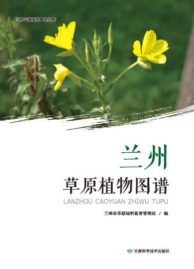 兰州草原植物图谱