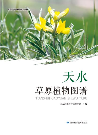 天水草原植物图谱