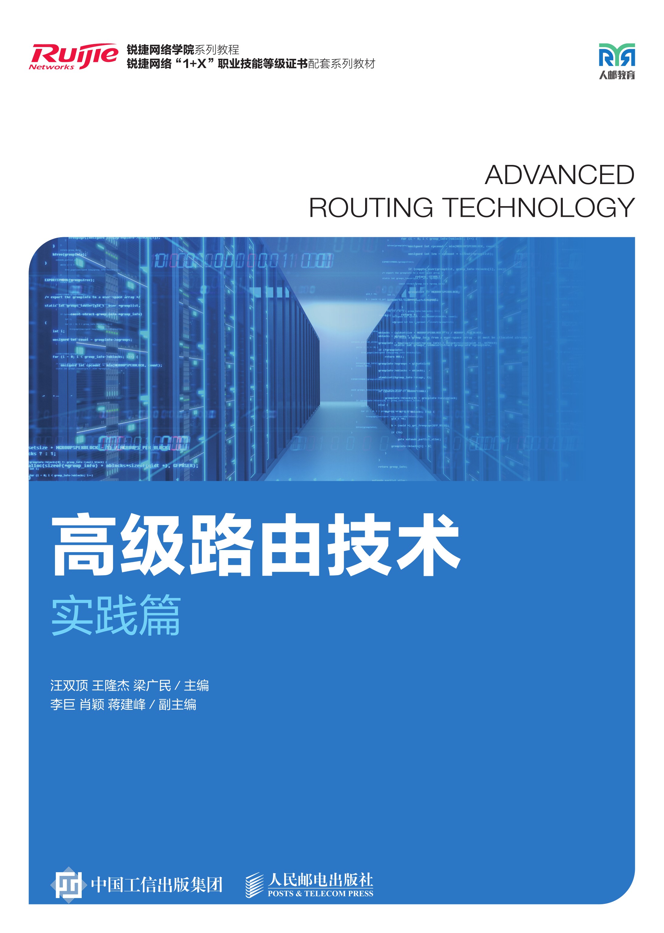 高级路由技术（实践篇）