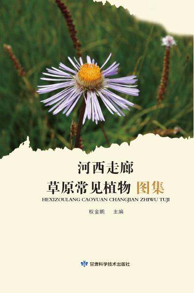河西走廊草原常见植物图集