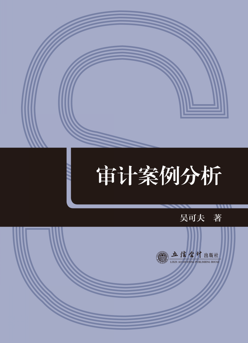 审计案例分析