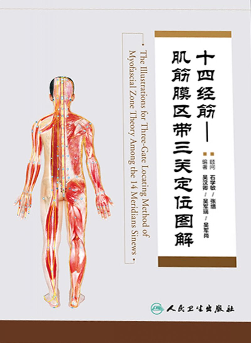 十四经筋—肌筋膜区带三关定位图解