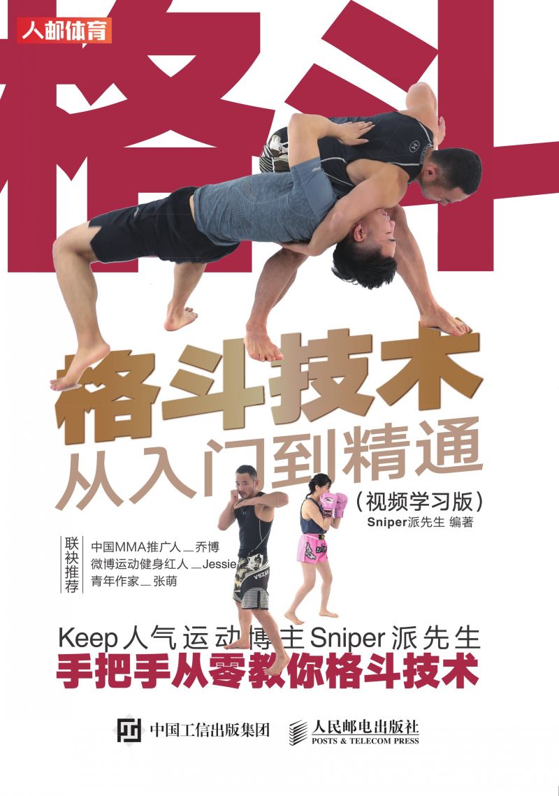 格斗技术从入门到精通（视频学习版）