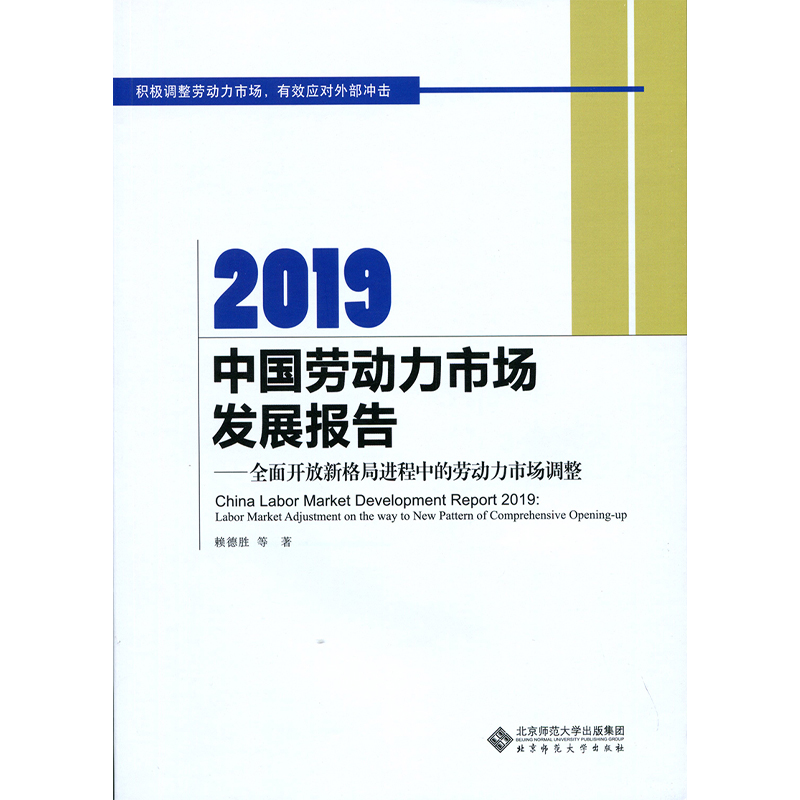 2019中国劳动力市场发展报告