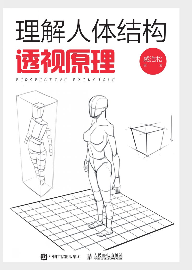 理解人体结构：透视原理