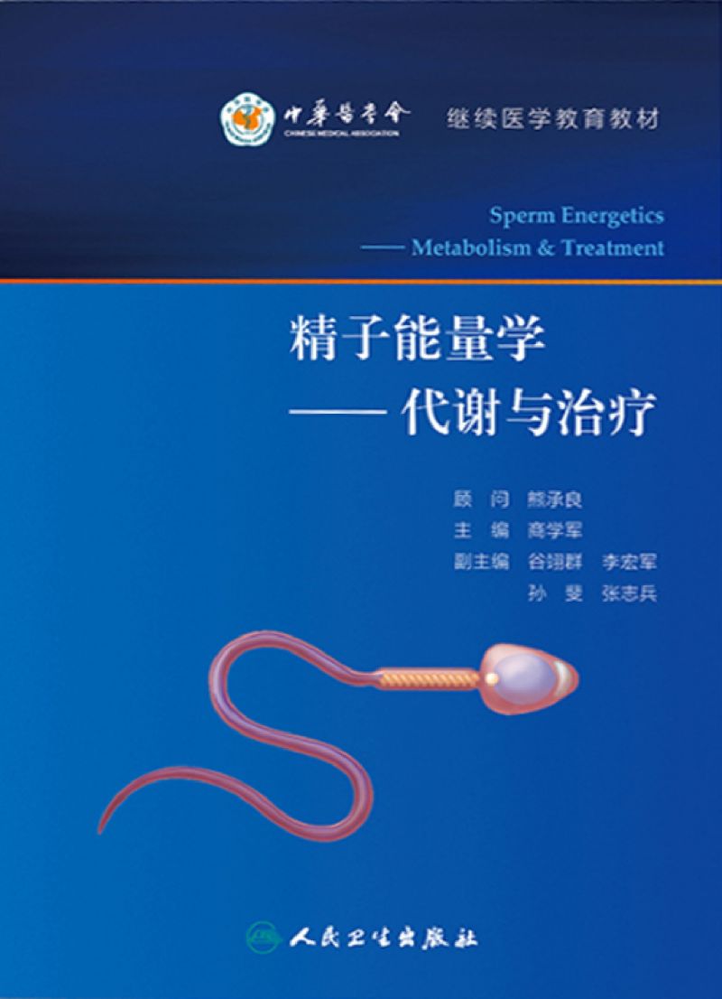 精子能量学——代谢与治疗