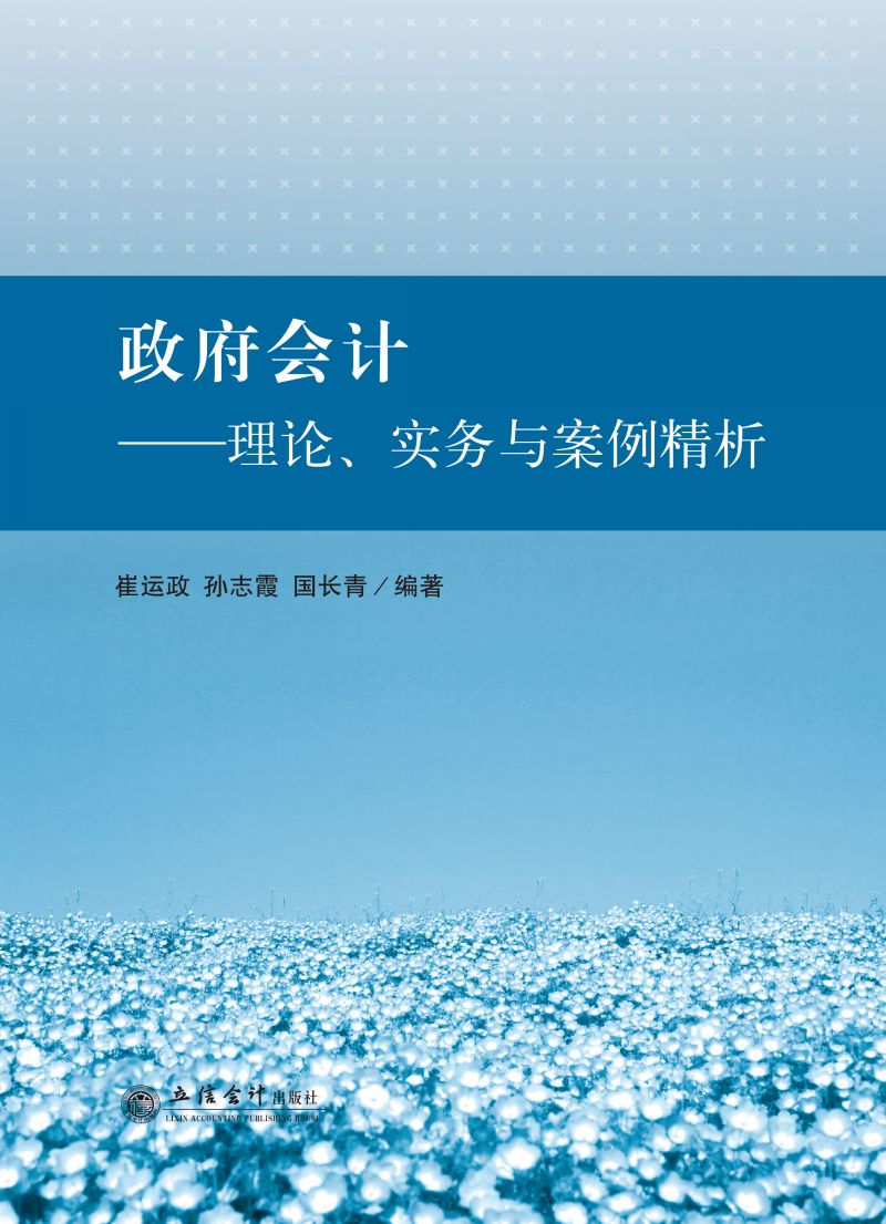 政府会计——理论、实务与案例精析