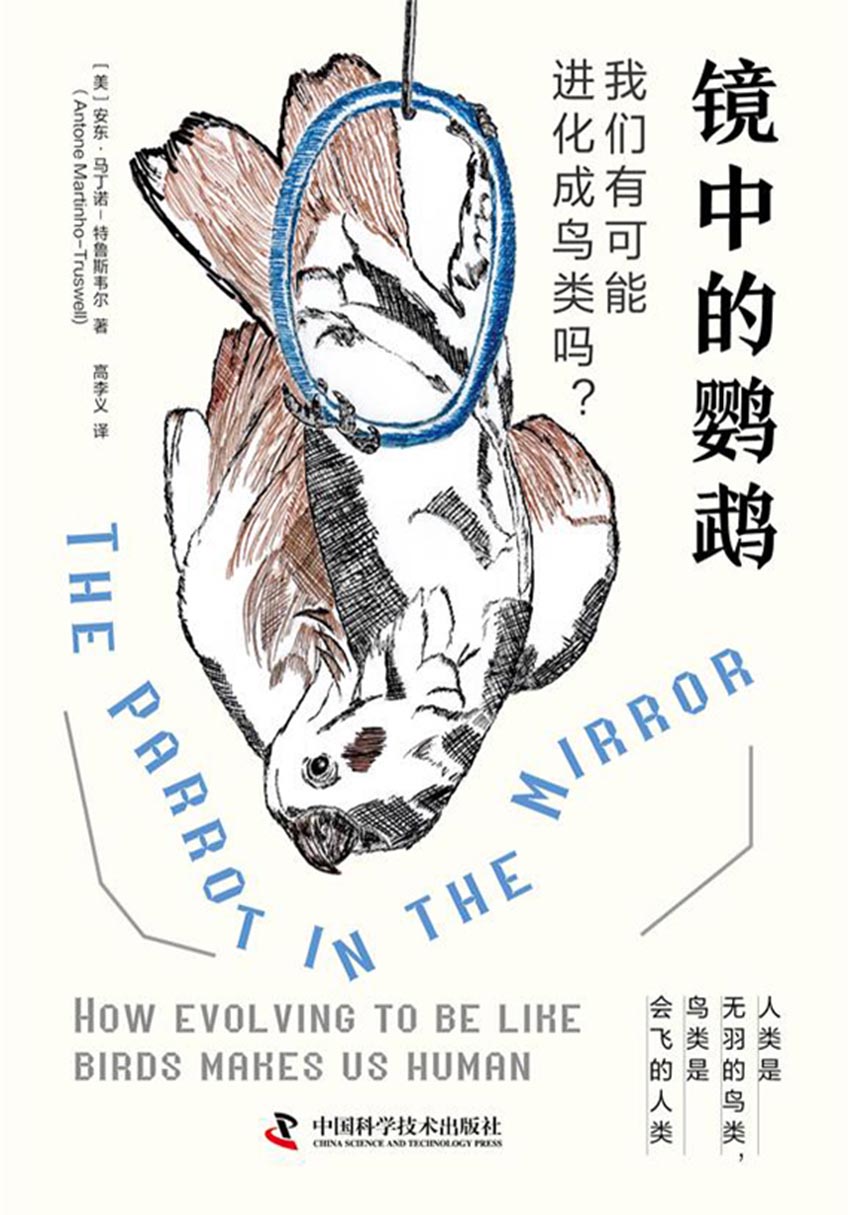 镜中的鹦鹉：我们有可能进化成鸟类吗？