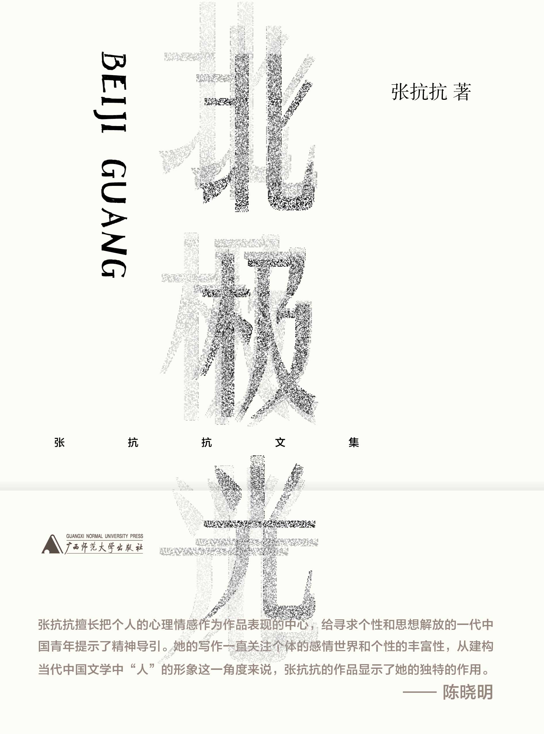 纯粹向度  张抗抗文集  北极光