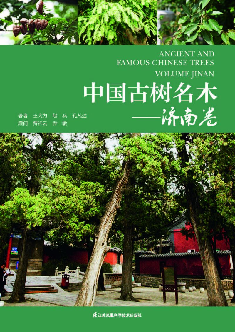 中国古树名木——济南卷