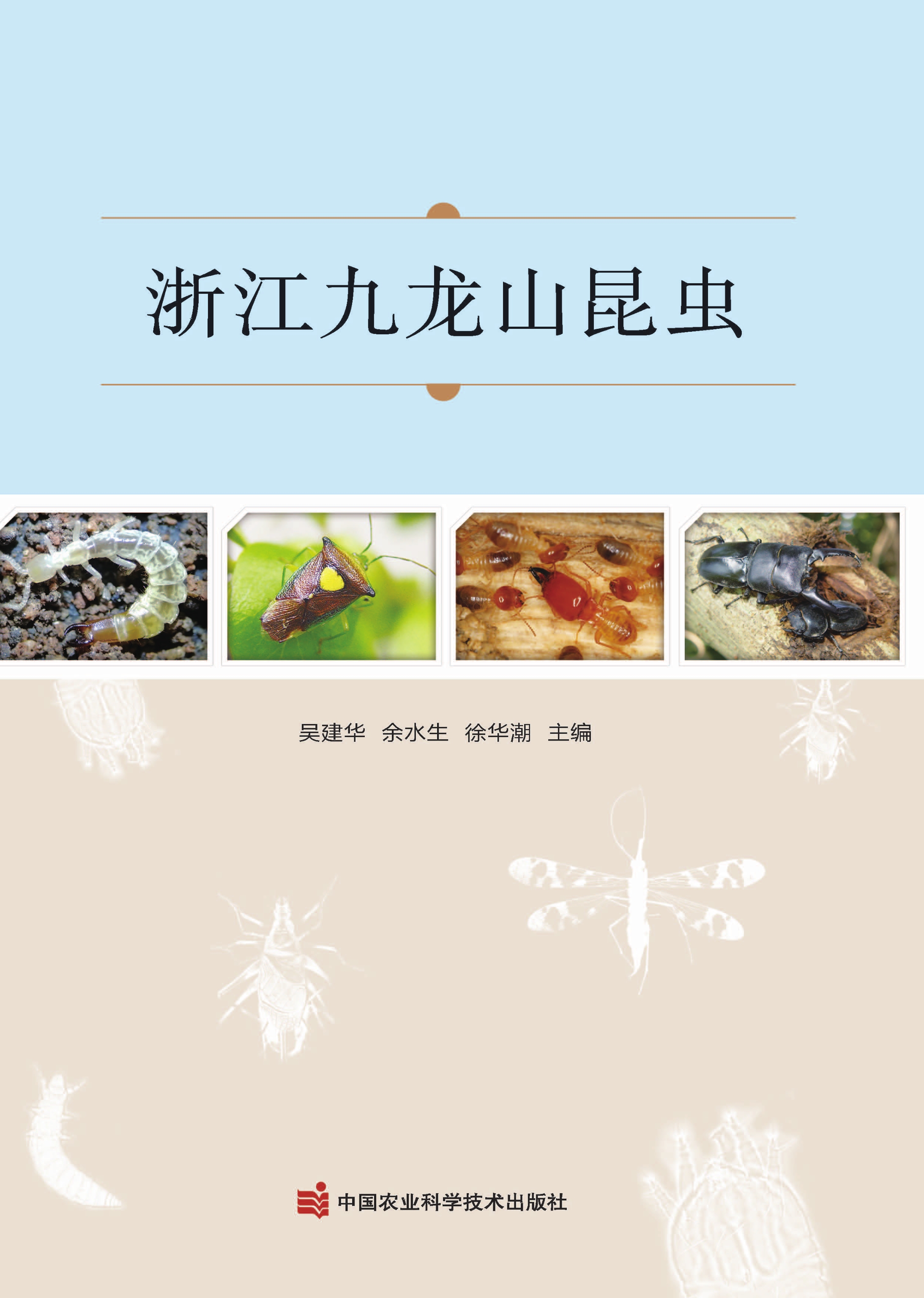 浙江九龙山昆虫