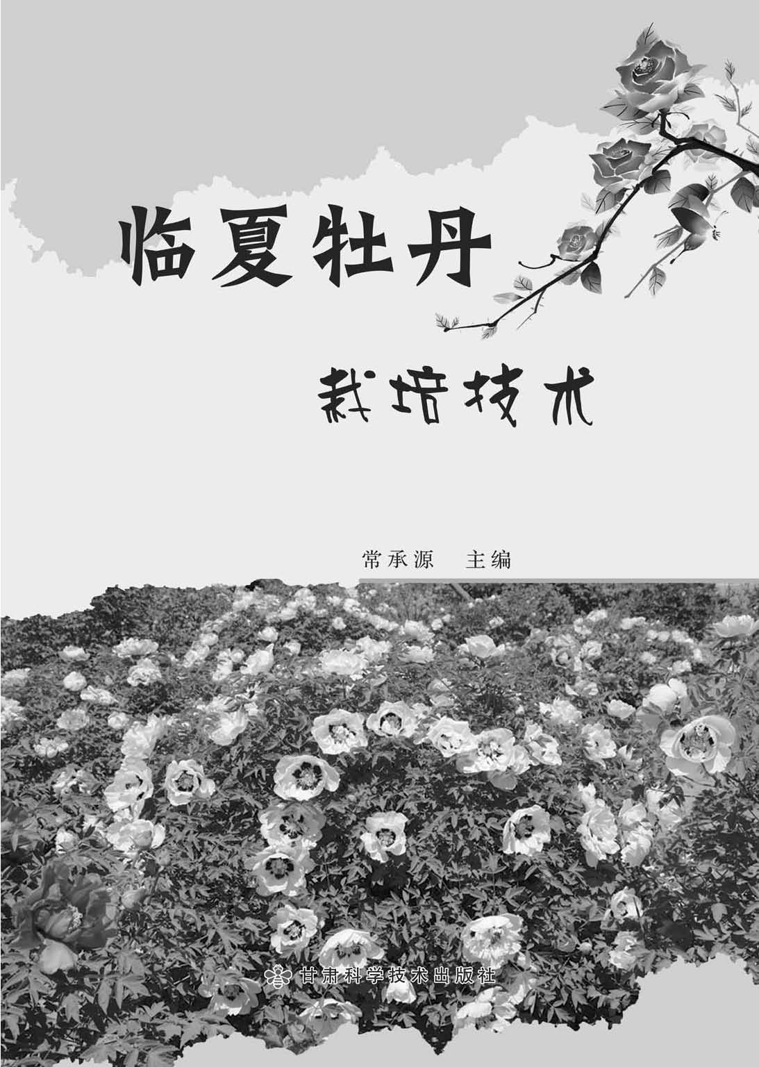 临夏牡丹栽培技术