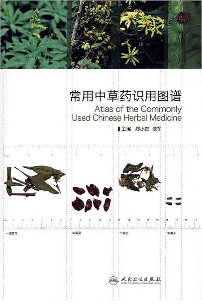 常用中草药识用图谱